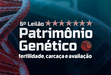 6º LEILÃO PATRIMÔNIO GENÉTICO SETE ESTRELAS